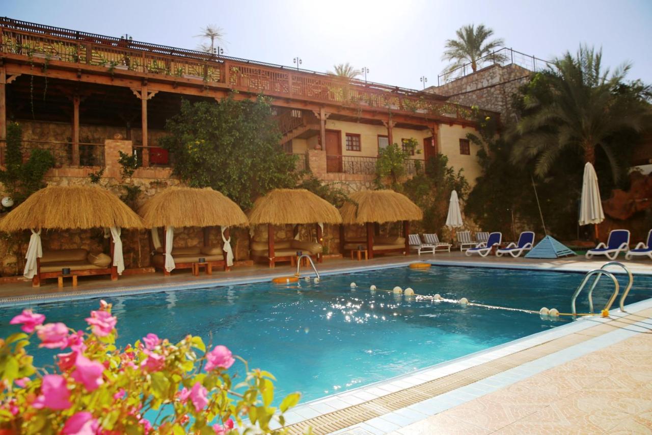 een zwembad met ligstoelen en parasols en een gebouw bij Naama Blue Hotel in Sharm El Sheikh