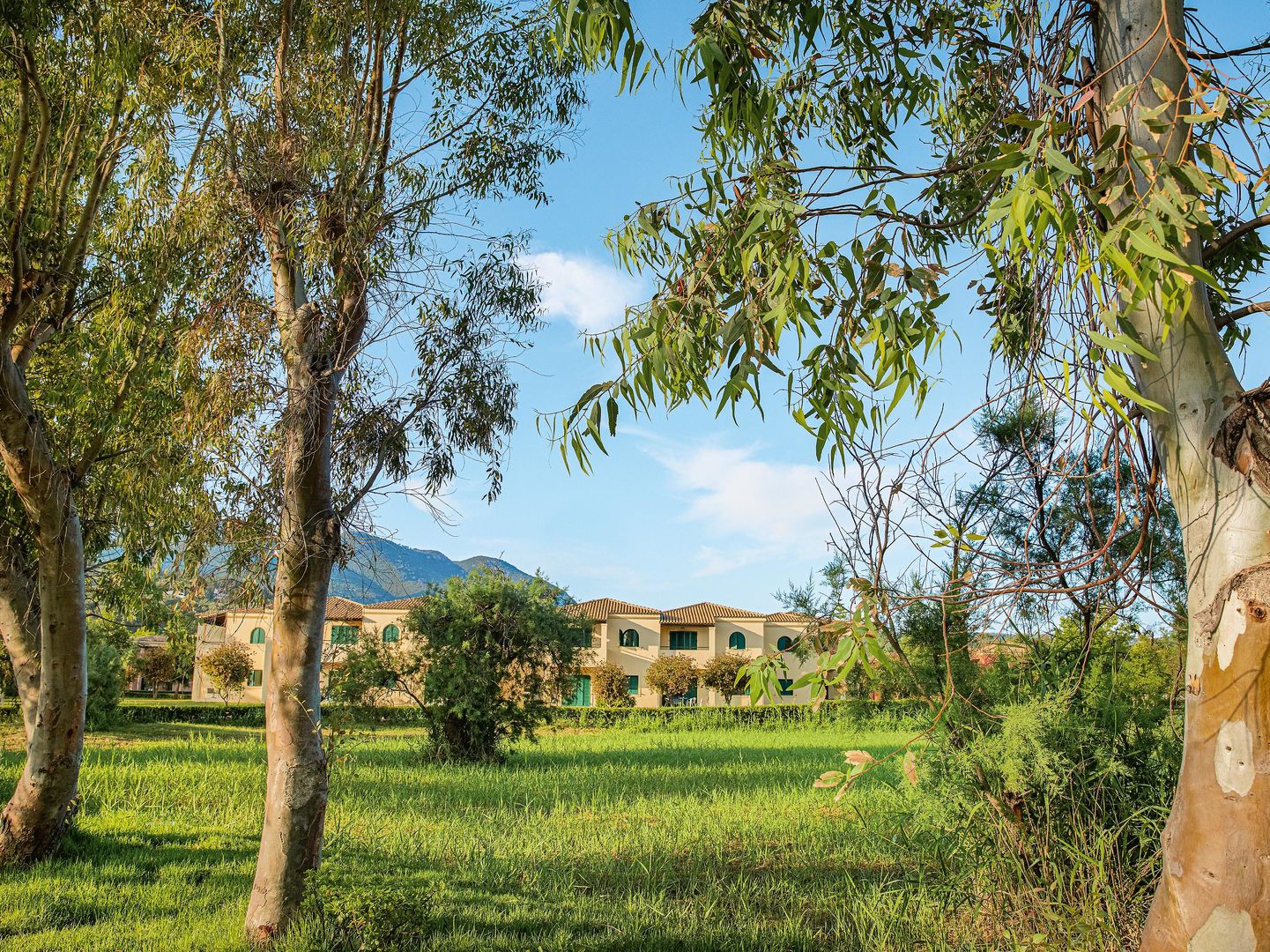 Grecotel LUXME Costa Botanica foto 512