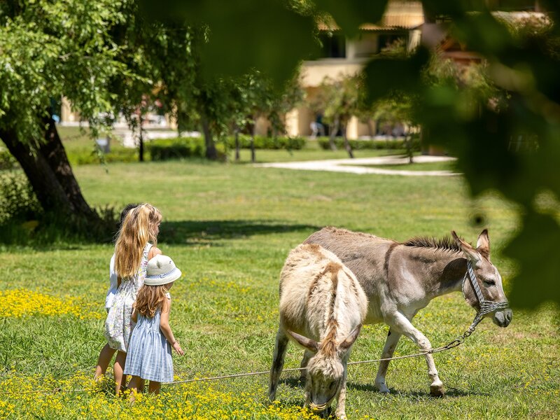 Grecotel LUXME Costa Botanica foto 7