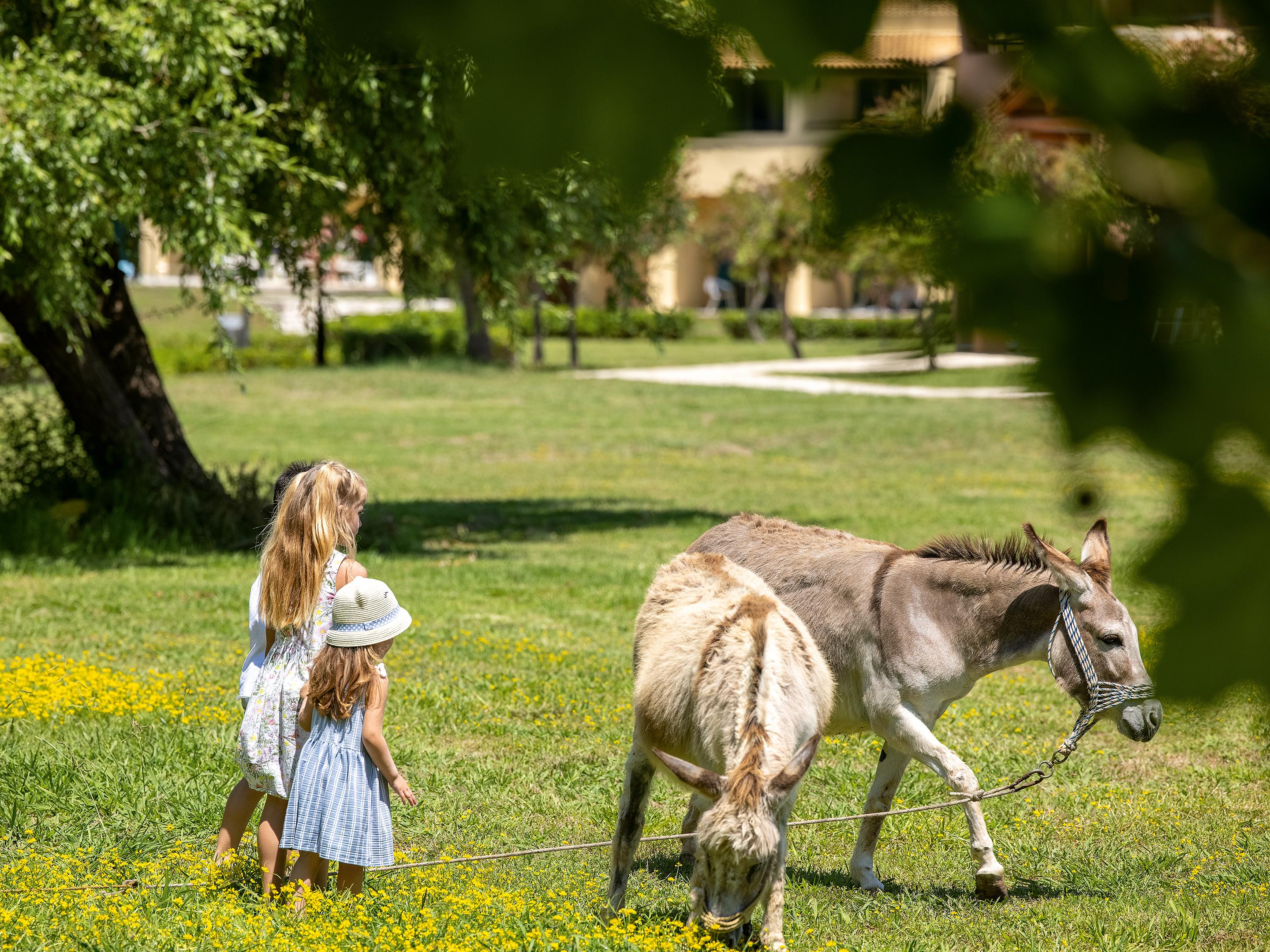 Grecotel LUXME Costa Botanica foto 9