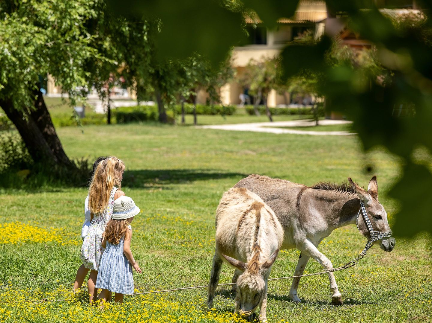 Grecotel LUXME Costa Botanica foto 8