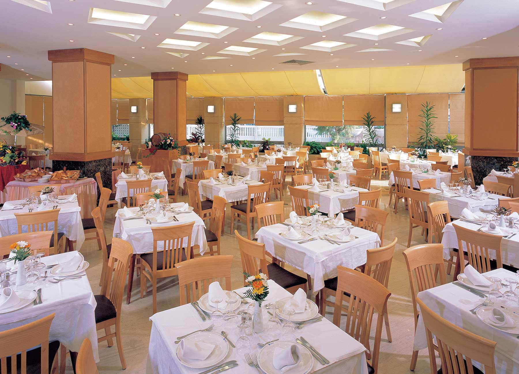 Ibiscus Hotel foto 13