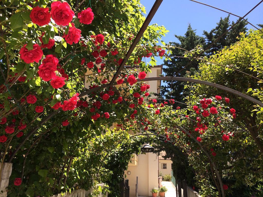 Parco Delle Rose foto 14