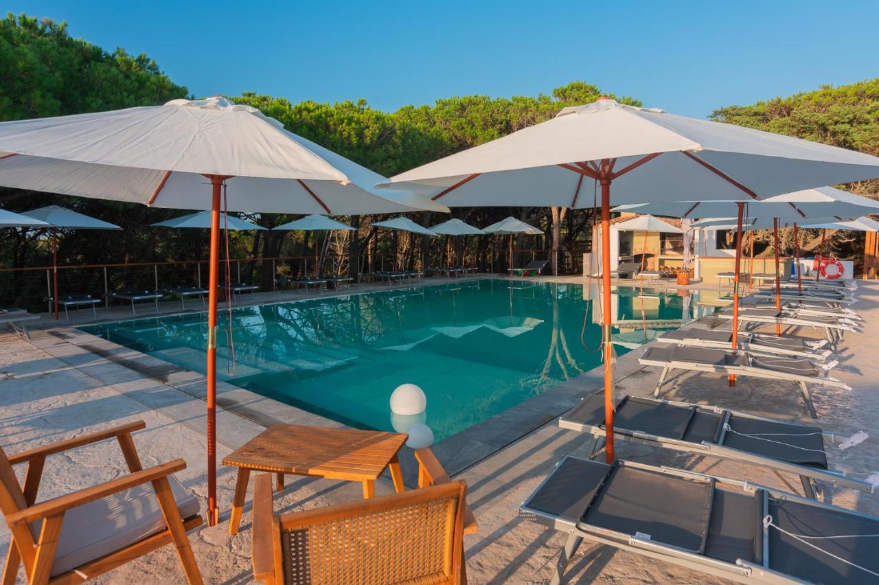 Buitenzwembad met ligbedden — Q-Resort