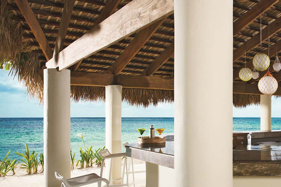 Impressive Premium Punta Cana foto 26