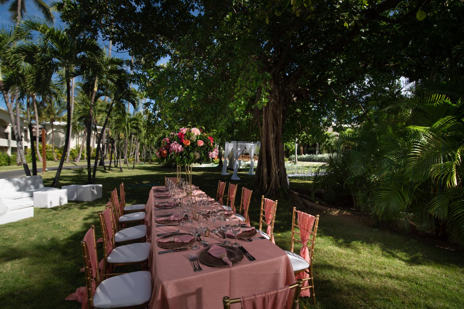Impressive Punta Cana foto 37