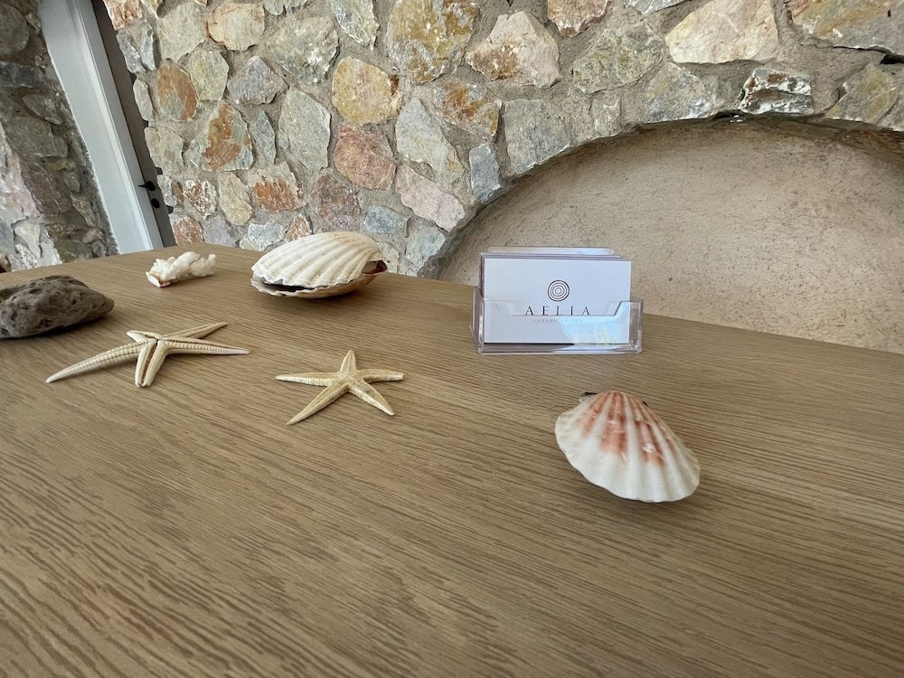 Aelia Luxury Suites foto 41