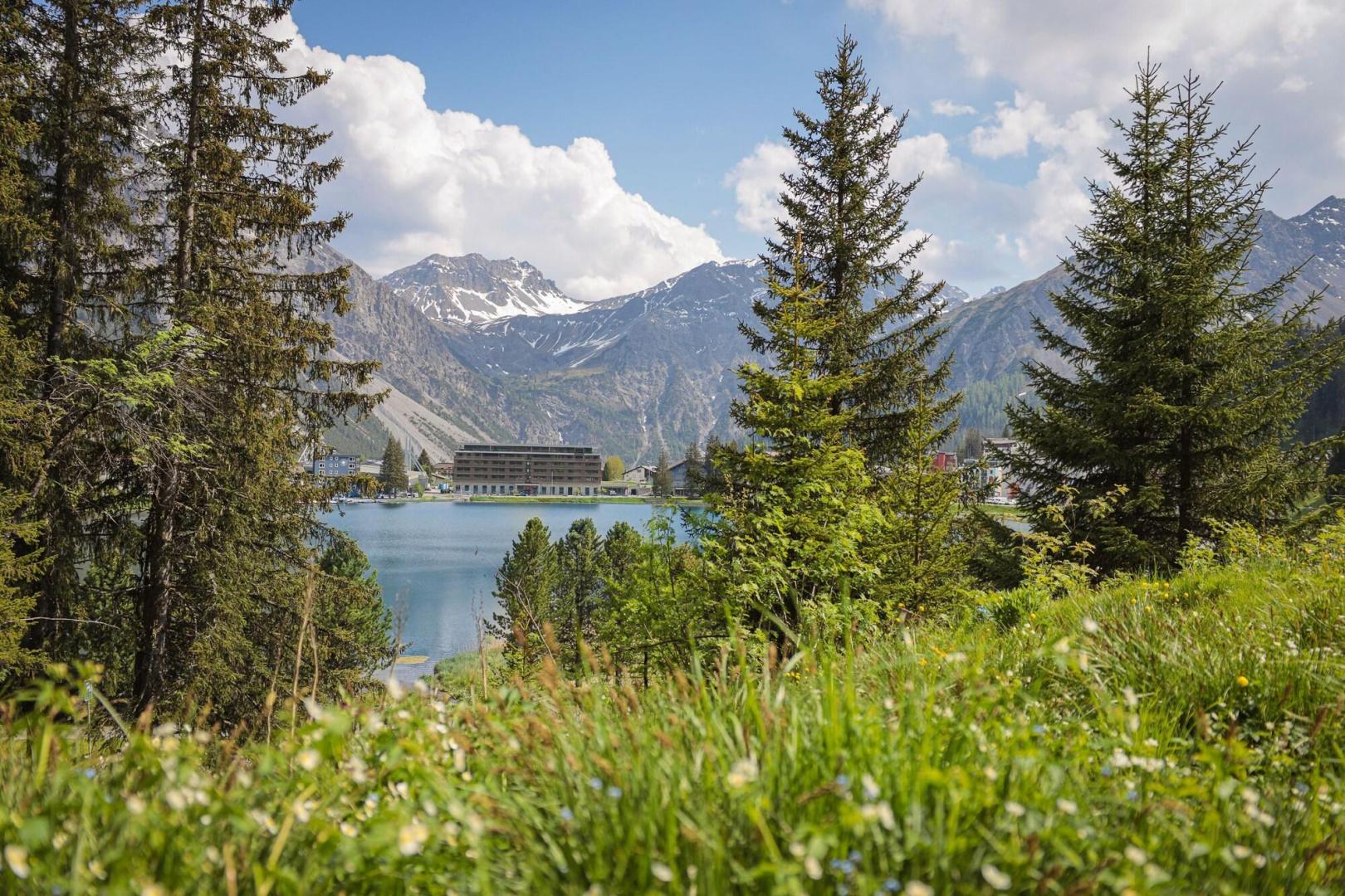 Aves Homebase Arosa foto 36