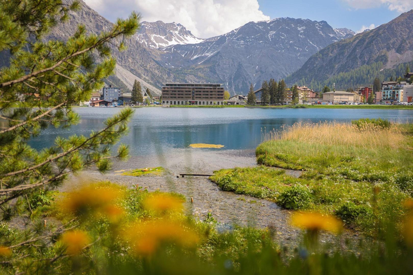 Aves Homebase Arosa foto 12