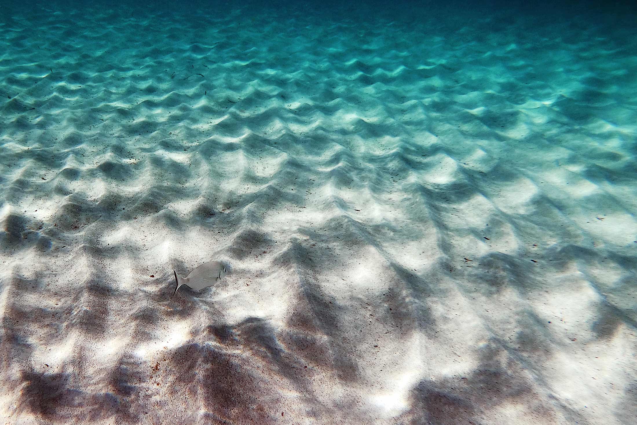 Wit zandstrand met turquoise water — Grand Hotel in Porto Cervo