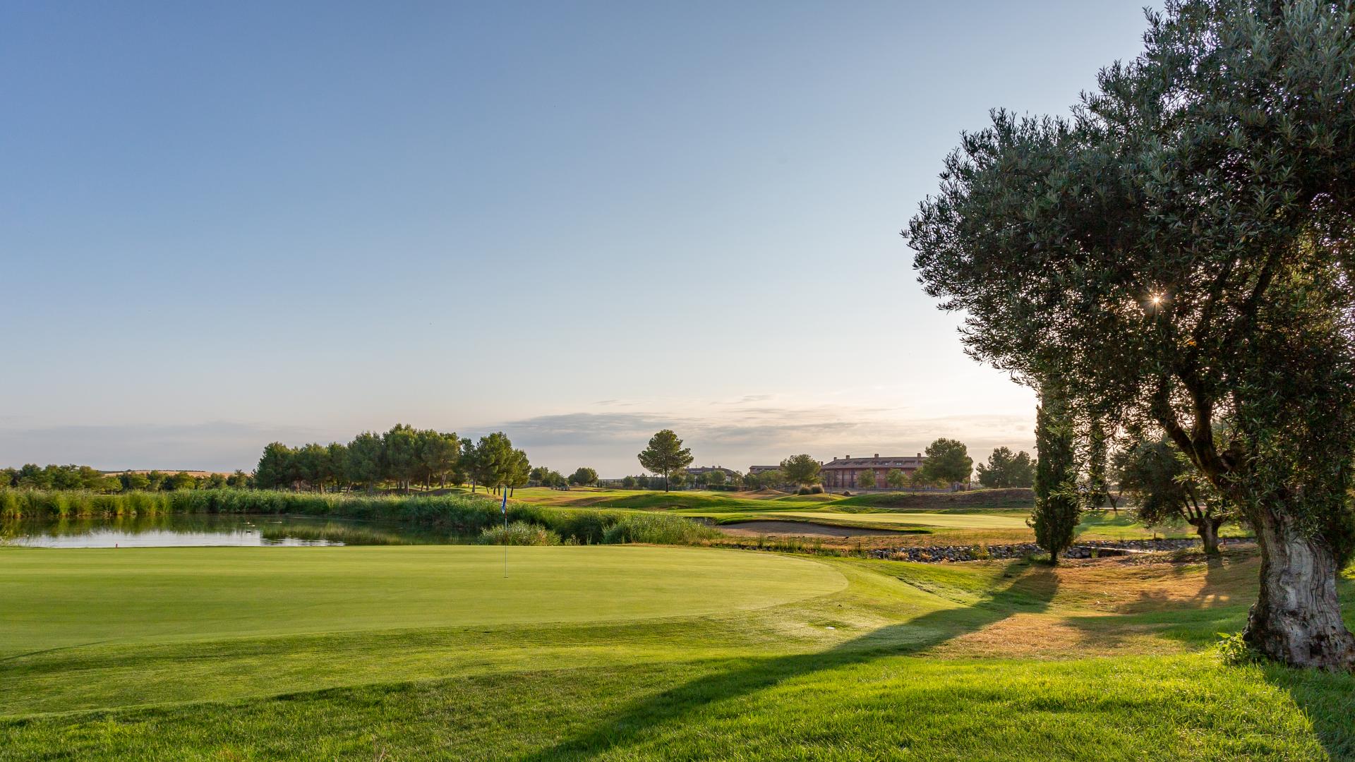 Exe Layos Golf foto 14