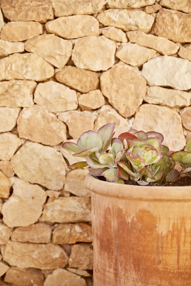 Teranka Formentera image 2