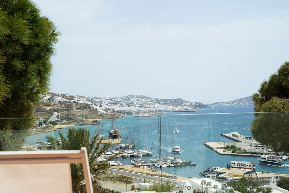 Rhenia Mykonos foto 42