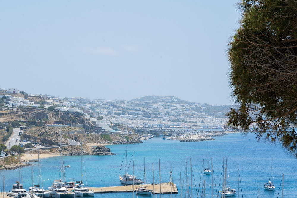 Rhenia Mykonos foto 50