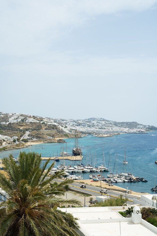 Rhenia Mykonos foto 41