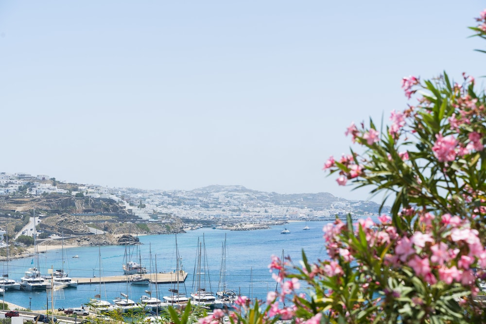 Rhenia Mykonos foto 16