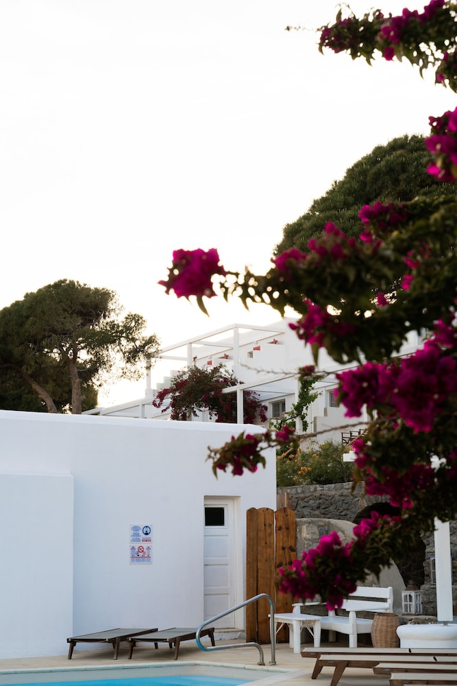 Rhenia Mykonos foto 49
