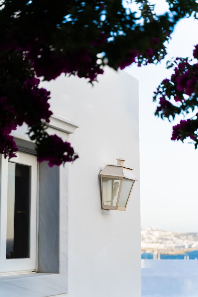 Rhenia Mykonos foto 44