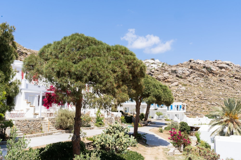 Rhenia Mykonos image 1