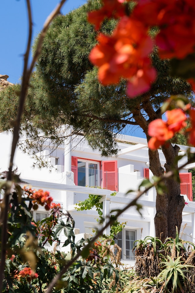 Rhenia Mykonos foto 47