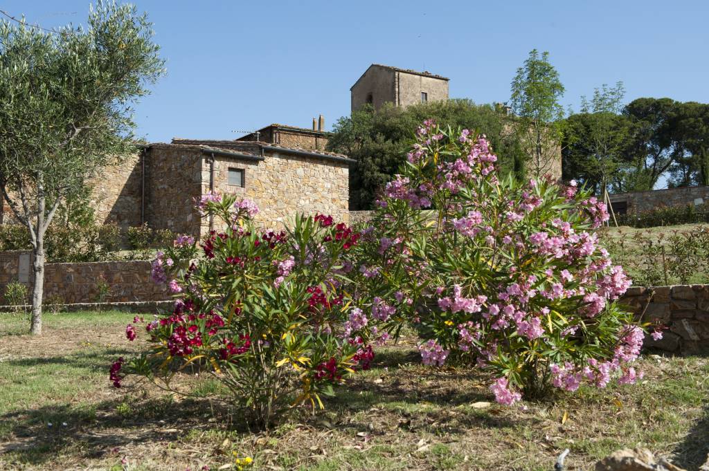 Antico Borgo Casalappi foto 44