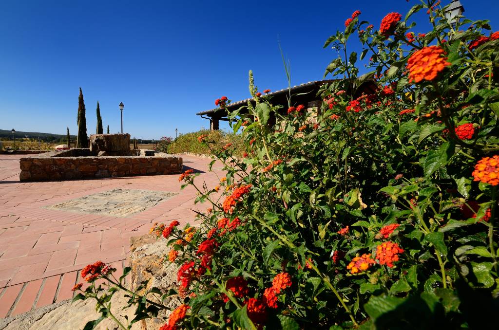 Antico Borgo Casalappi foto 20