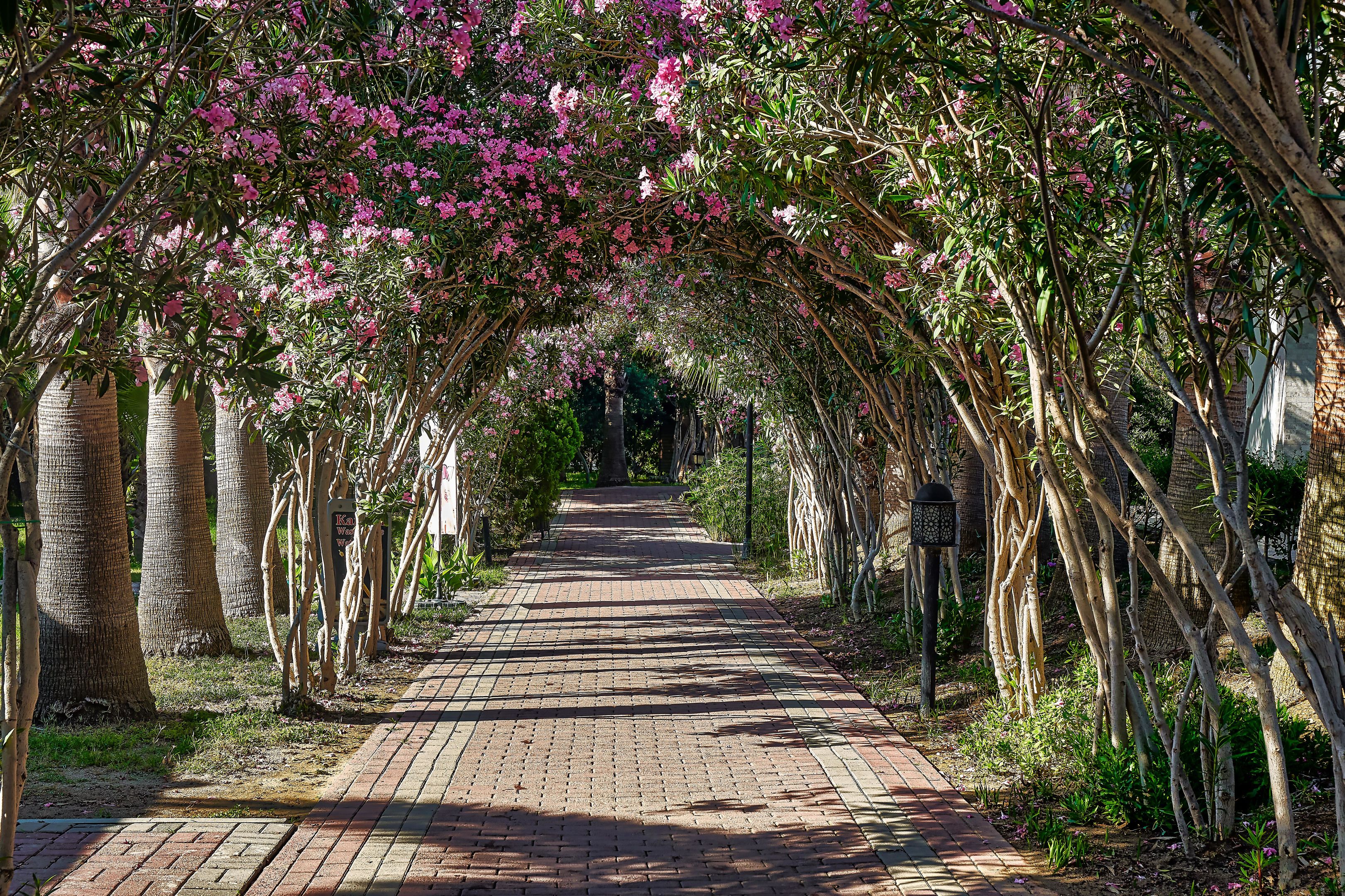 Seaden Sea World Resort & SPA foto 102