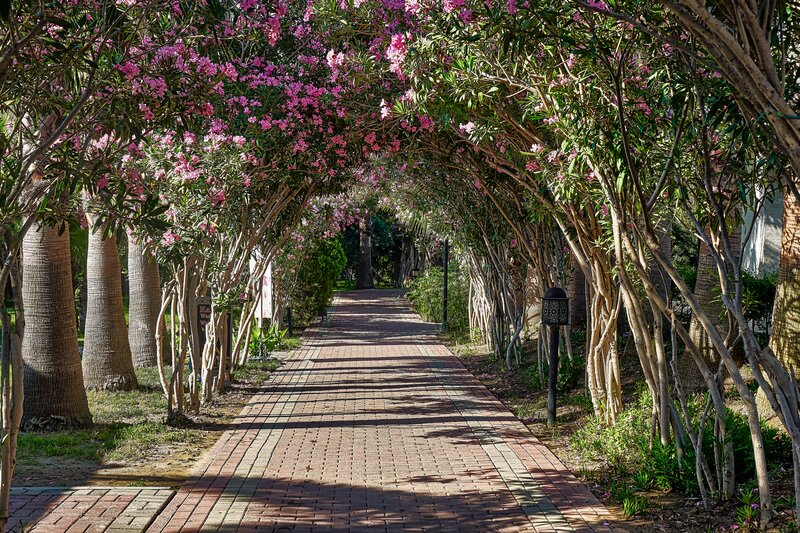Seaden Sea World Resort & SPA foto 100