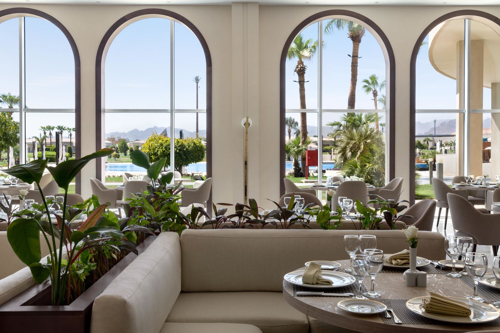Pickalbatros Luxury Suites foto 40