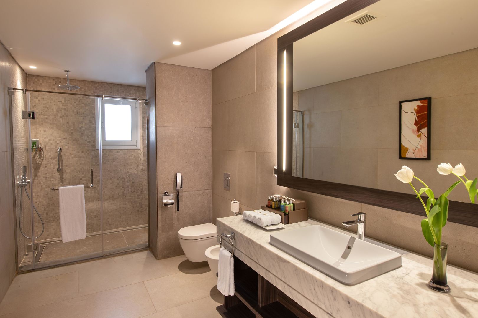 Pickalbatros Luxury Suites image 3