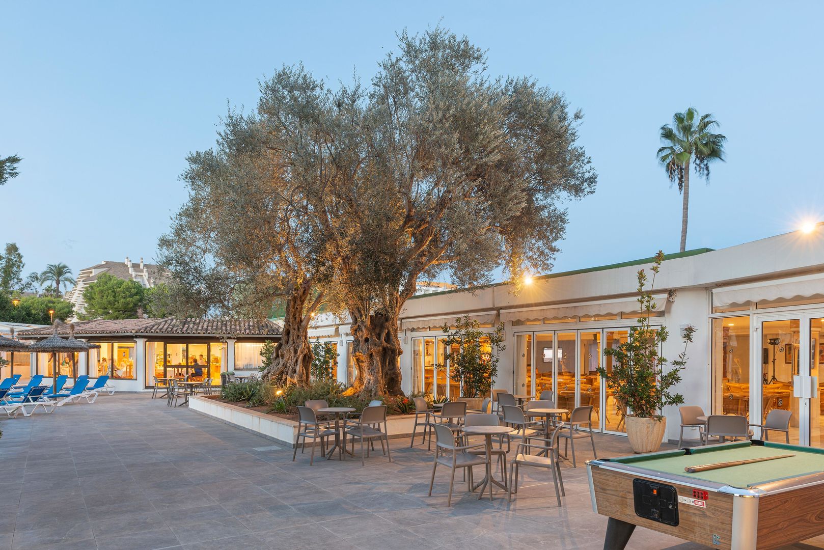 Alcudia Beach Apartments image 2