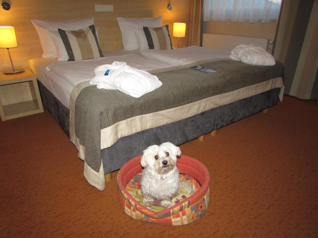 Aquapalace Hotel Prague foto 15