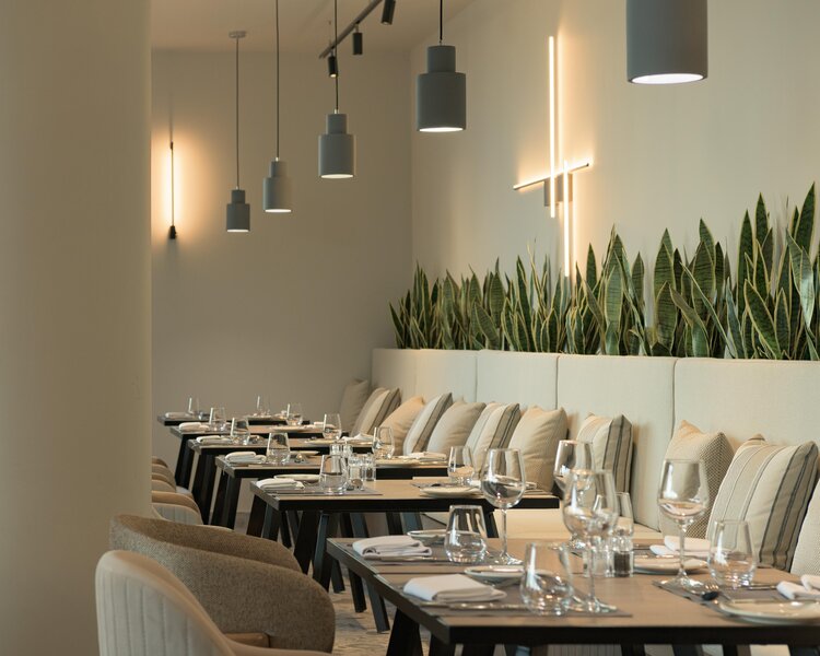 King Jason Zante - Designed for adults by Louis Hotels foto 445