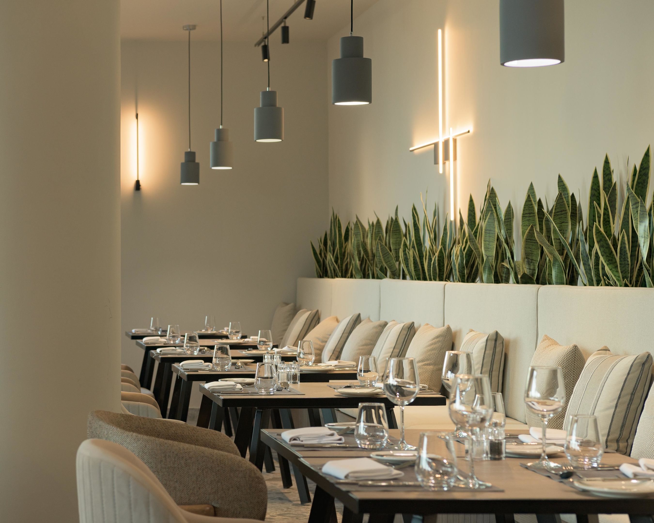 King Jason Zante - Designed for adults by Louis Hotels foto 447