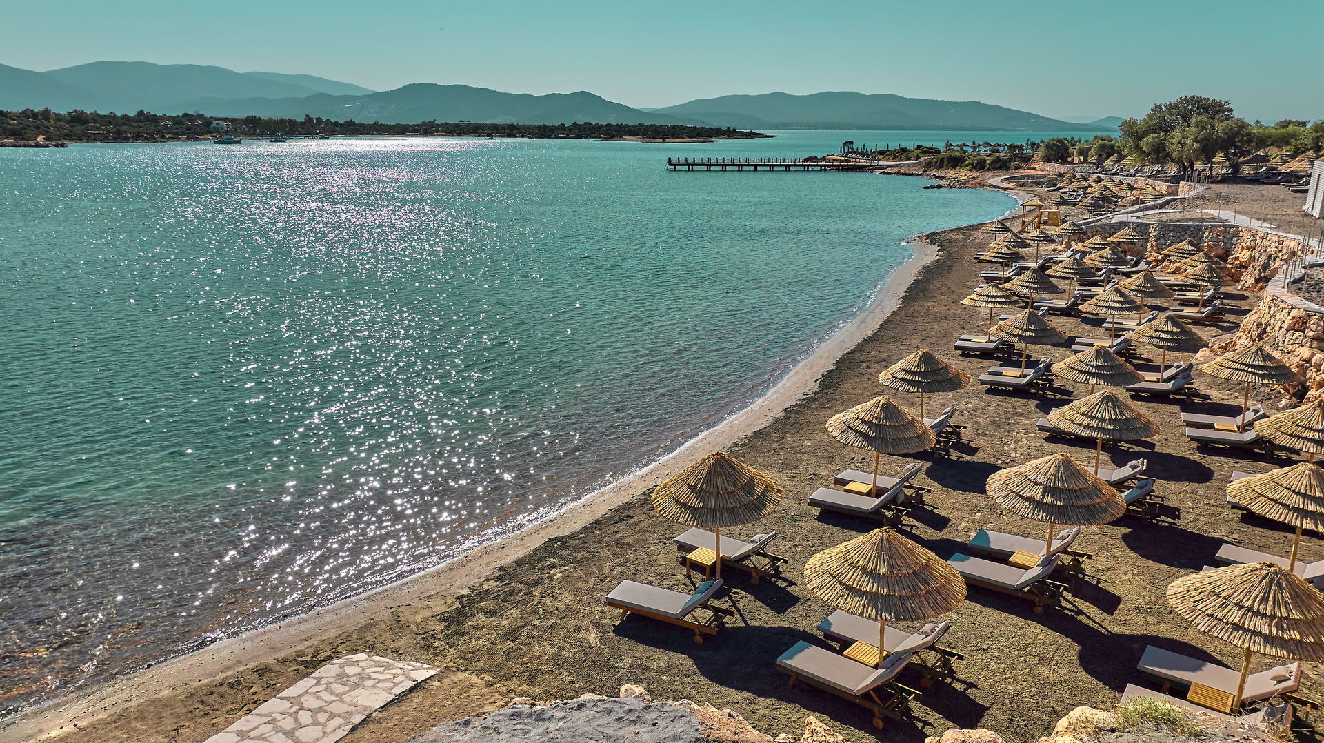 Anda Barut Collection foto 249