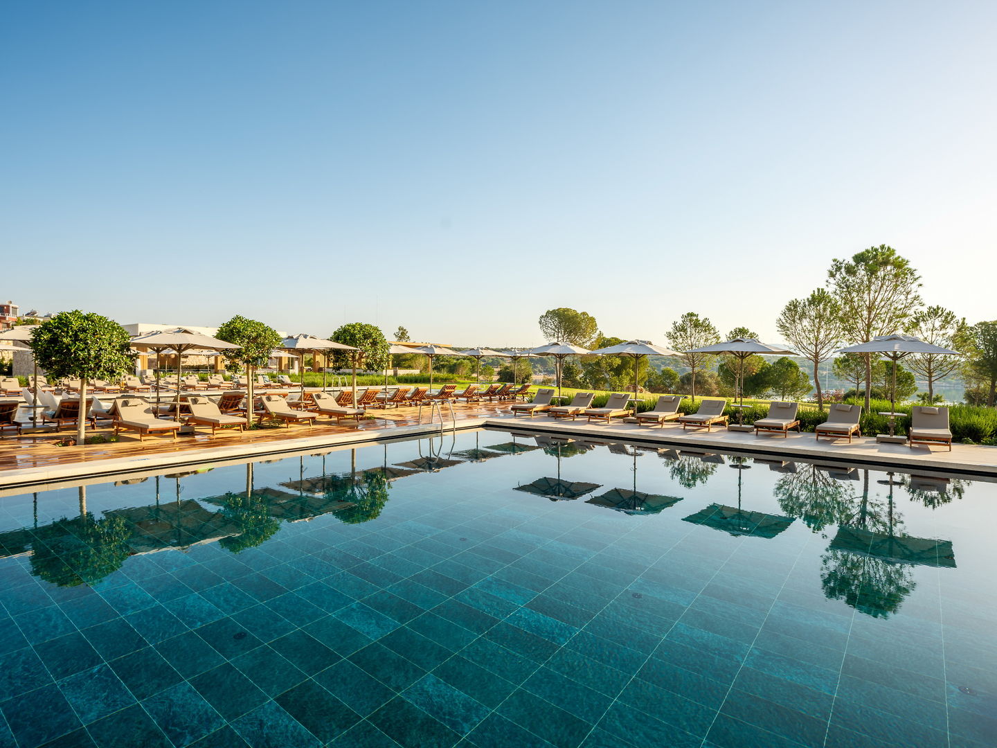 Anda Barut Collection foto 258