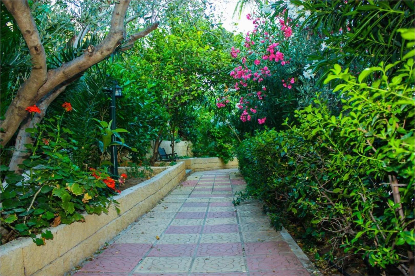 Hotel Pappas foto 11