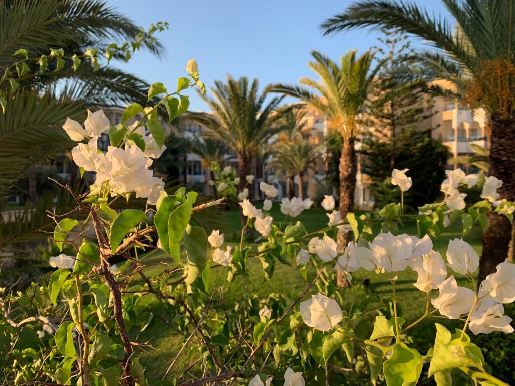 Hasdrubal Thalassa & Spa Yasmine Hammamet foto 9