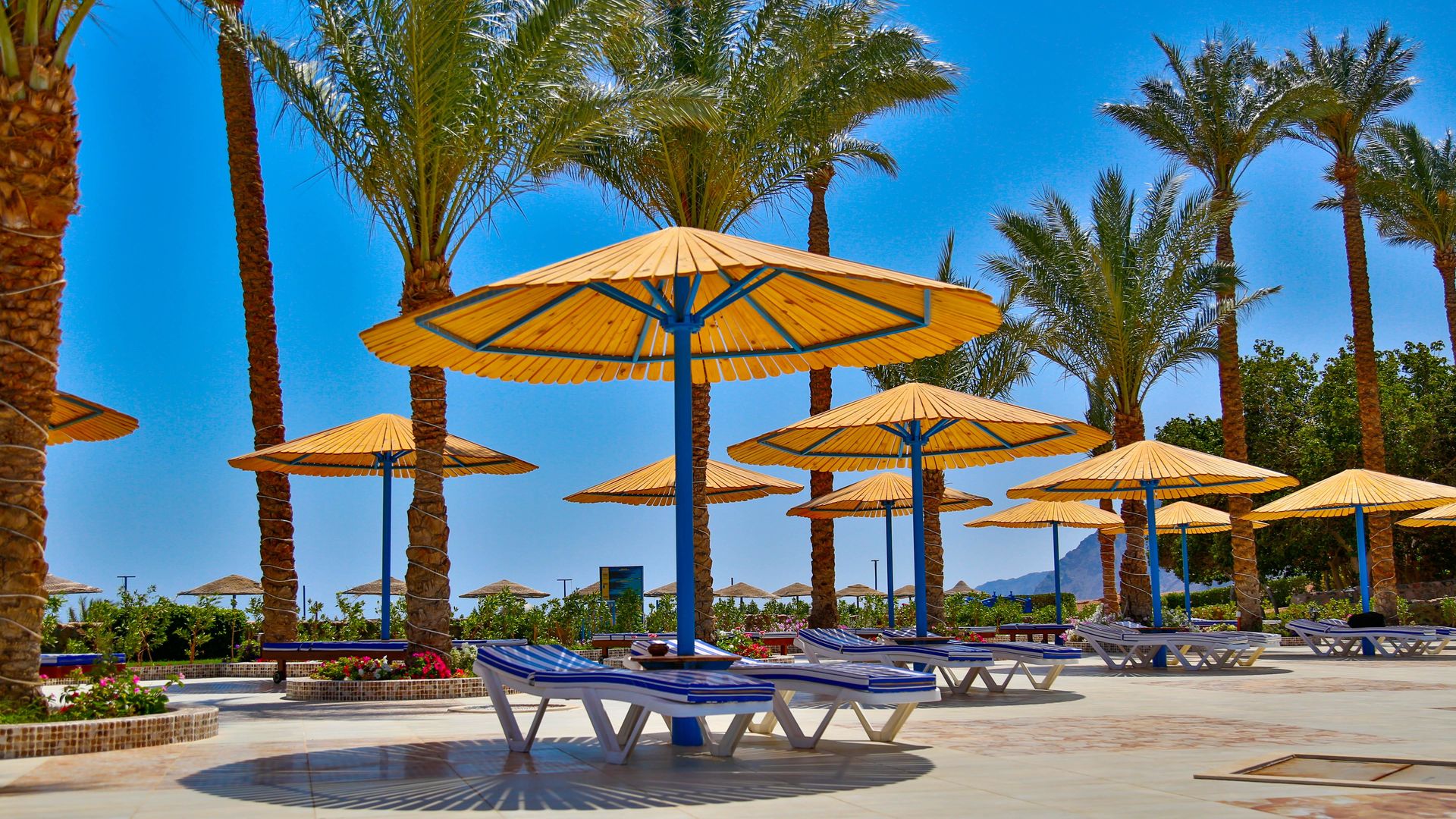 Ecotel Dahab Bay View Resort foto 97