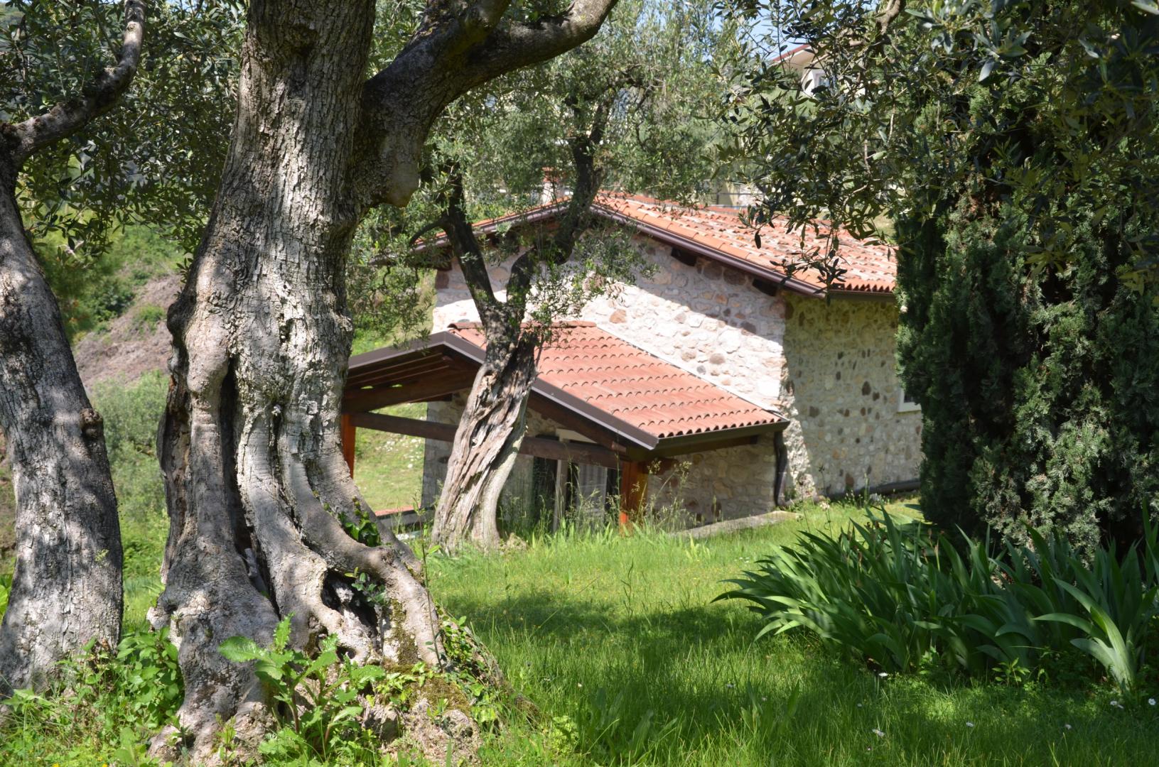 Residence San Michele foto 31