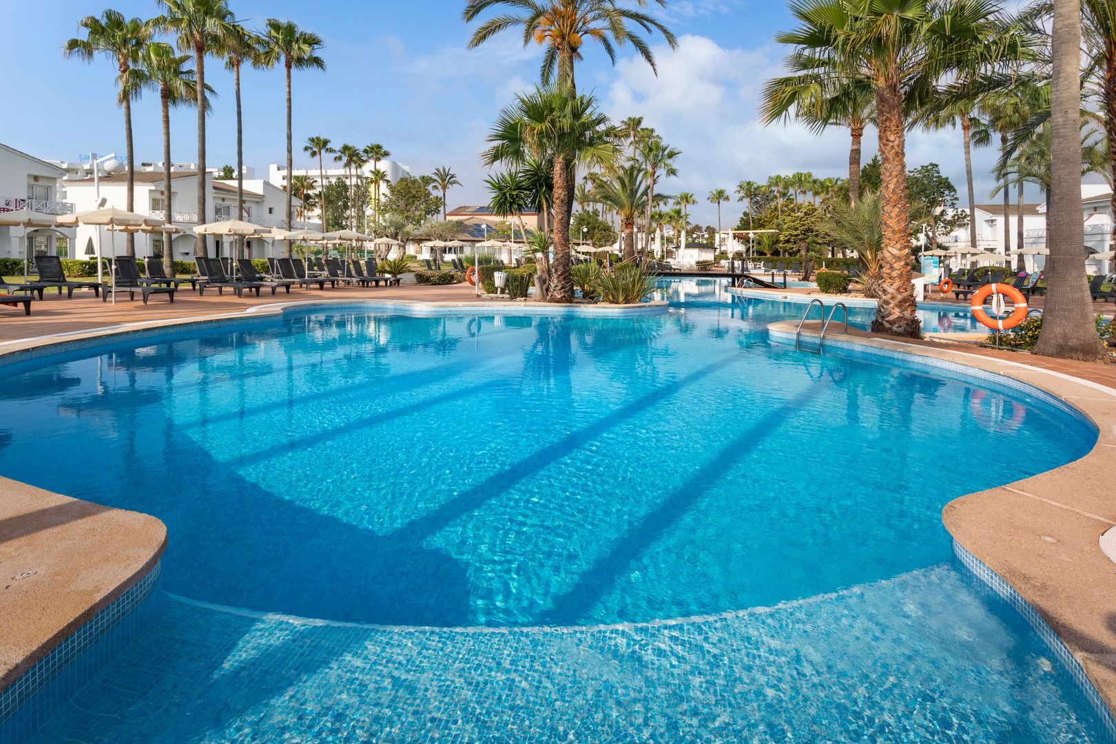 Garden Saladina image 0