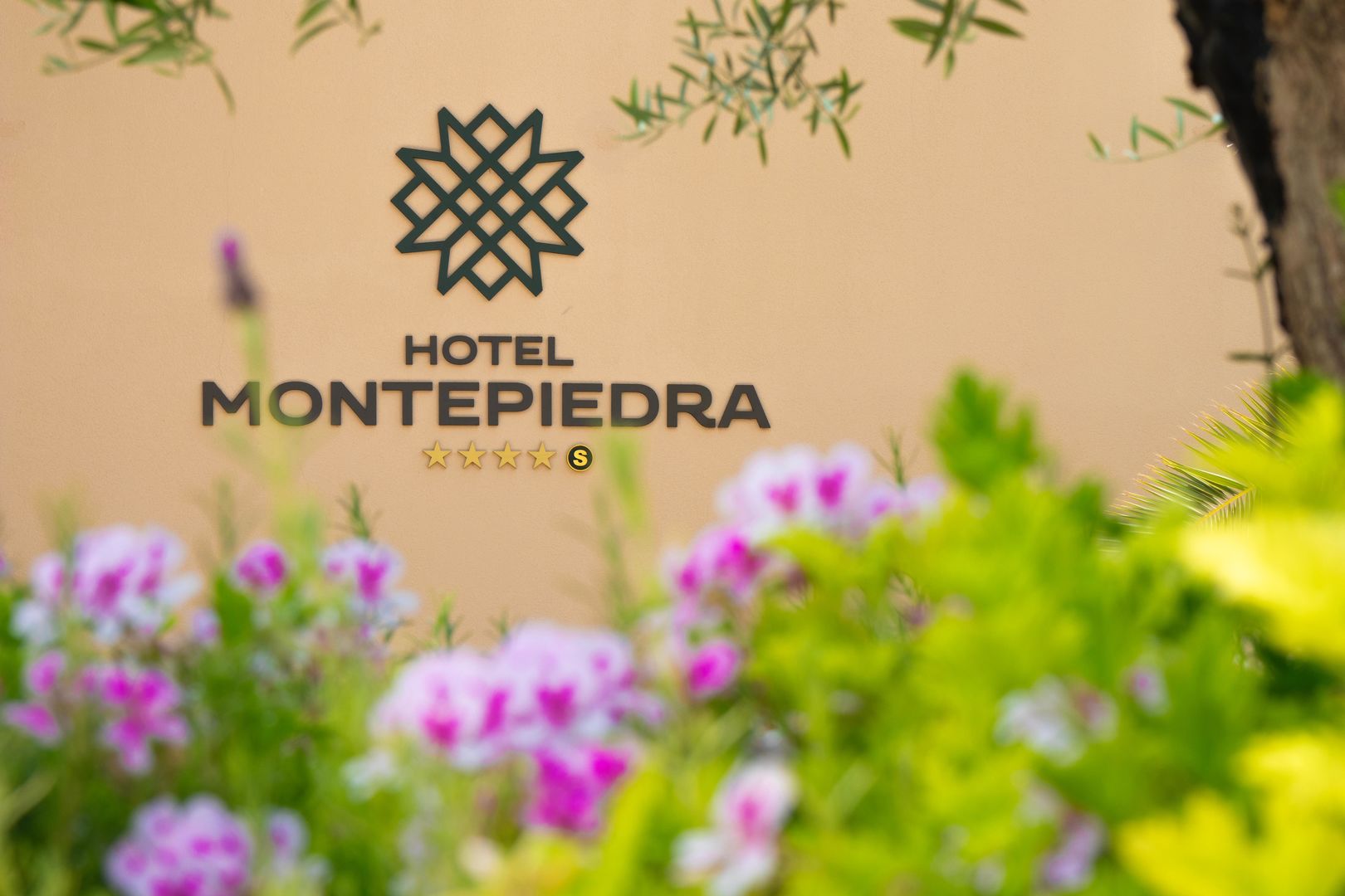 Hotel Montepiedra image 1