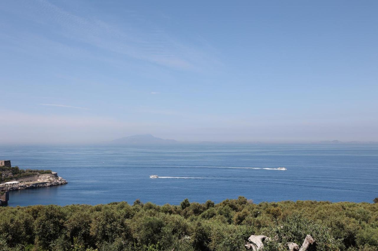 een uitzicht op de oceaan met een boot in het water bij Villa Puolo – With Private Sea Access in Sorrento