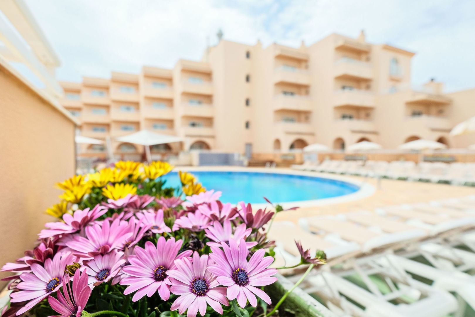Hotel Rosamar Ibiza foto 14