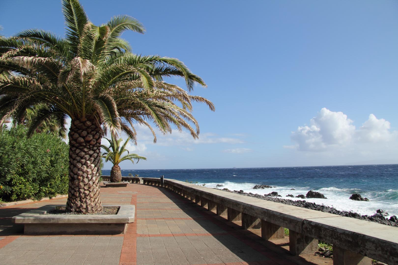 Canico Bay Apartments foto 16