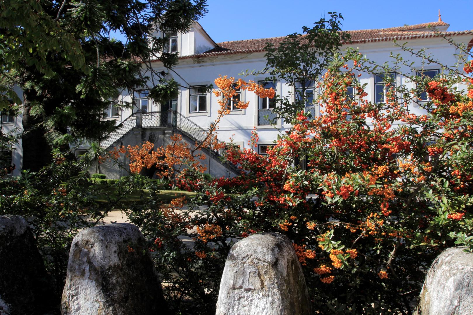 Casa De Mogofores foto 13