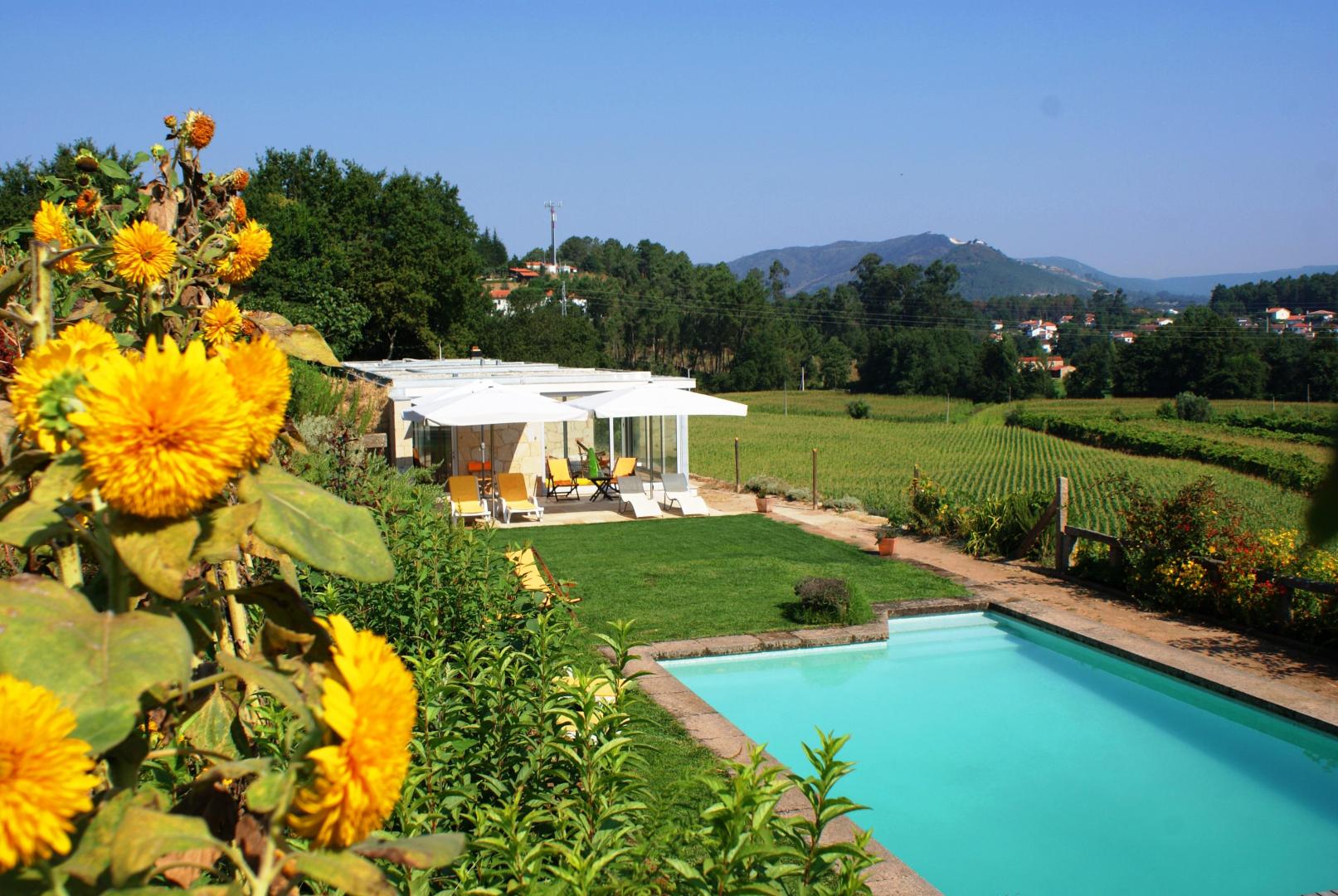 Quinta da Agra foto 6