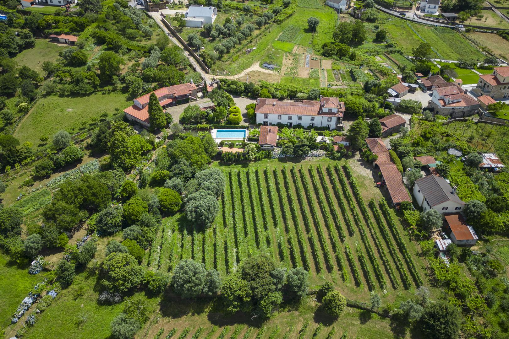 Quinta da Aldeia foto 18