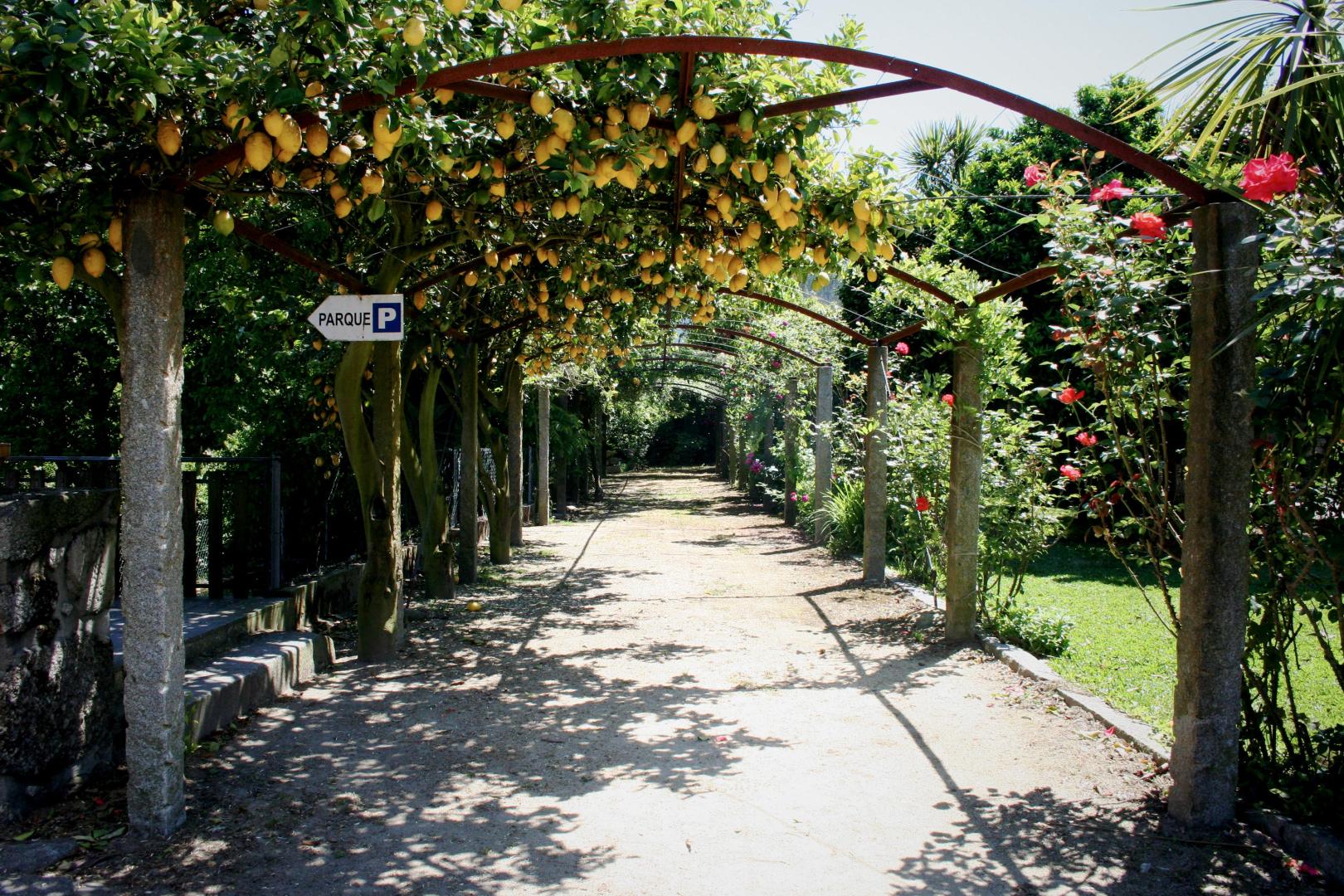 Quinta De Santa Comba foto 10