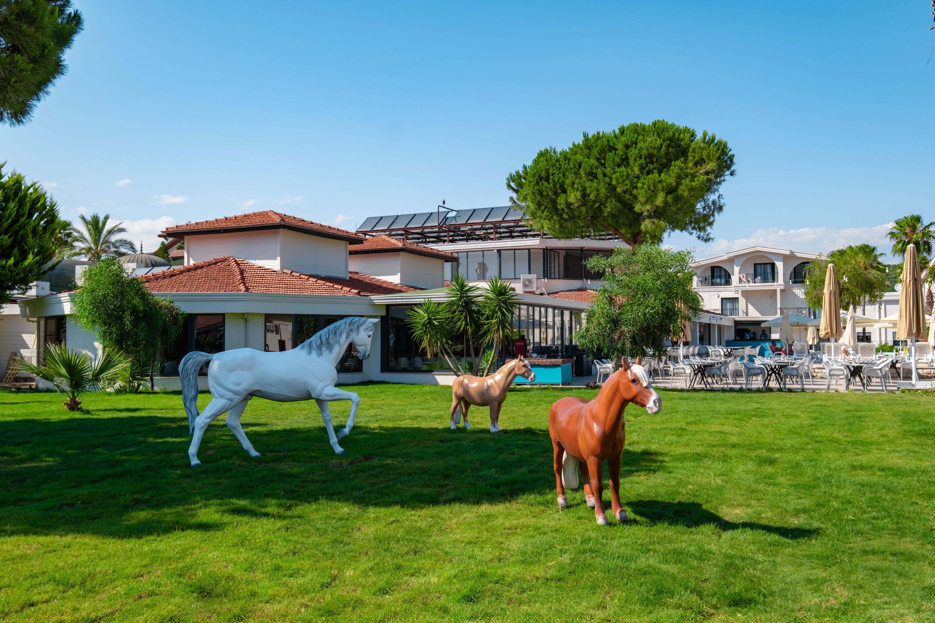 alltoura Club Hotel La Benata foto 62